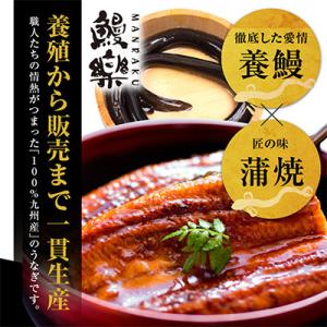 ふるさと納税 宮崎市 国産 うなぎ蒲焼3尾(計...の詳細画像2