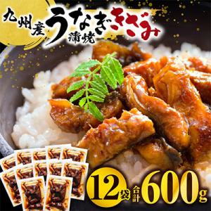 ふるさと納税 宮崎市 国産　うなぎ蒲焼きざみ6袋(計300g)、きざみ(ごぼう入)6袋(計300g)　合計600g