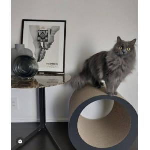 ふるさと納税 行橋市 猫の爪とぎ・RING(M...の詳細画像1