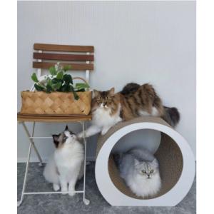 ふるさと納税 行橋市 猫の爪とぎ・RING(M...の詳細画像2