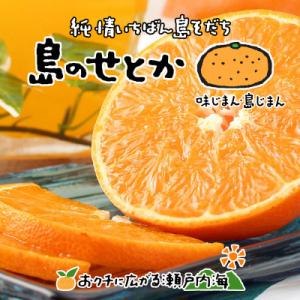 ふるさと納税 松山市 希望の島 せとか 訳あり品 2kg 愛媛 中島産