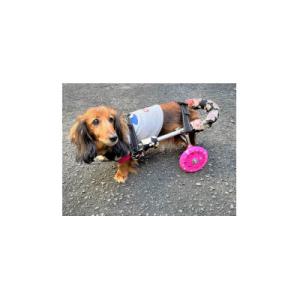 ふるさと納税 西条市 ペット用オーダーメイド車いす　小型犬