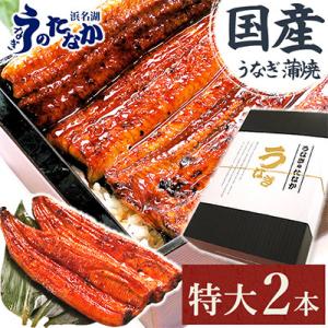 ふるさと納税 磐田市 浜名湖・うなぎのたなかの長蒲2本ギフト!ふっくら柔らか♪国産うなぎ長蒲焼※合計...