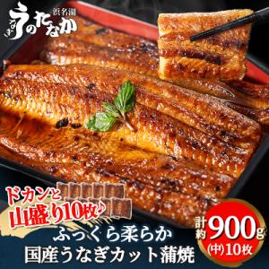 ふるさと納税 磐田市 浜名湖・うなぎのたなかのドカンと山盛り10枚♪ふっくら柔らか国産うなぎカット蒲...