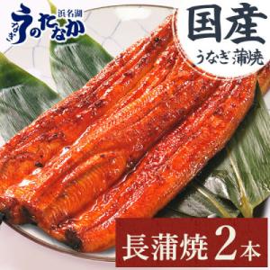 ふるさと納税 磐田市 浜名湖・うなぎのたなかのふっくら柔らか♪国産うなぎ見た目も美しい長蒲焼2本※合計180g程度