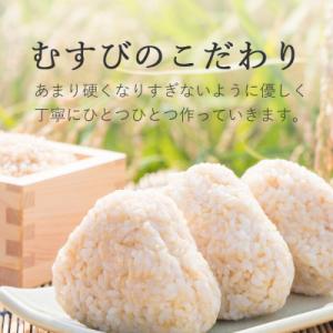 ふるさと納税 西条市 手作り玄米おにぎり「玄米...の詳細画像1