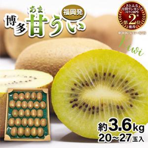ふるさと納税 太宰府市 福岡県ブランドキウイフルーツ博多甘うぃ 約3.6kg(太宰府市)