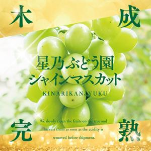 ふるさと納税 津山市 星乃 シャインマスカット...の詳細画像1