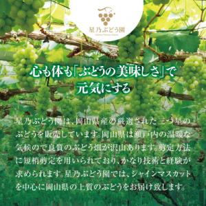 ふるさと納税 津山市 先行受付【三つ星ぶどう】...の詳細画像2