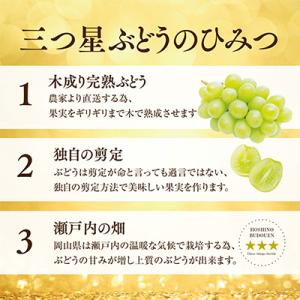 ふるさと納税 津山市 星乃 シャインマスカット...の詳細画像3