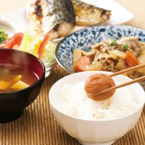 ふるさと納税 御坊市 【紀州南高梅】つぶれ梅 ...の詳細画像3