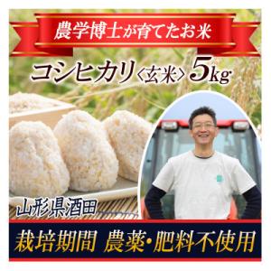 ふるさと納税 酒田市 【栽培期間中農薬不使用】コシヒカリ 玄米5kg 農学博士が栽培 山形県酒田 令和5年産