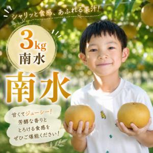 ふるさと納税 飯田市 南信州産　梨【南水】3kg