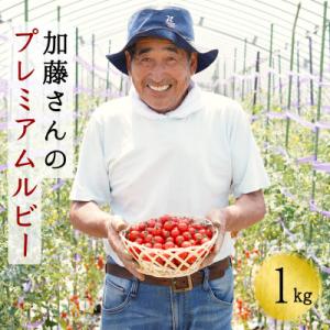 ふるさと納税 せたな町 北海道産 高糖度フルーツミニトマト 加藤さんのプレミアムルビー 1kg