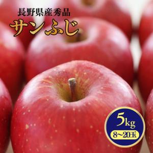 ふるさと納税 松川町 りんご サンふじ(長野県産秀品) 5kg【2026年11月下旬〜12月中旬頃発送予定】