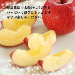 ふるさと納税 松川町 りんご サンふじ(長野県...の詳細画像3