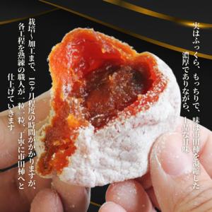 ふるさと納税 松川町 市田柿 (ご自宅用/徳用...の詳細画像1