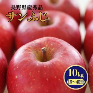 ふるさと納税 松川町 りんご サンふじ(長野県産秀品) 10kg【2026年11月下旬〜12月中旬頃発送予定】 MS16