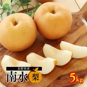 ふるさと納税 松川町 梨 南水(長野県産秀品) 5kg【2026年9月中旬〜10月中旬発送予定】