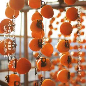 ふるさと納税 松川町 市田柿 (ご自宅用)柿実...の詳細画像2