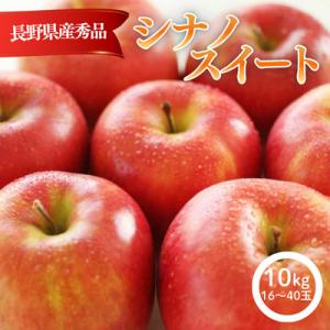 ふるさと納税 松川町 りんご シナノスイート(長野県産秀品) 10kg【2026年10月中旬〜11月中旬頃発送予定】