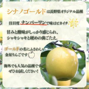 ふるさと納税 松川町 りんご シナノゴールド(...の詳細画像2