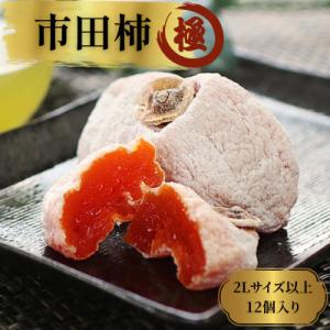ふるさと納税 松川町 市田柿「極」2Lサイズ以上...の商品画像
