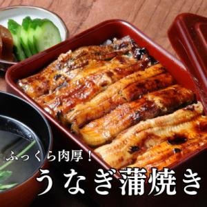 ふるさと納税 沼津市 うなぎの蒲焼き 約120g×4袋