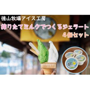 ふるさと納税 井原市 徳山牧場アイス工房の搾りたてミルクでつくるジェラート4個セット