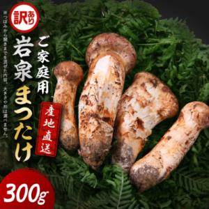 ふるさと納税 岩泉町 【2026秋発送】【訳あり】ご家庭用 岩泉まつたけ 直送 300g｜Yahoo!ふるさと納税