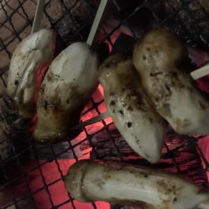 ふるさと納税 岩泉町 【2026年】秋発送・岩泉産・松茸コロ　150g