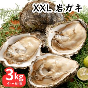 ふるさと納税 南知多町 XXLサイズ!天然岩牡蠣3kg(4〜6個・特上・殻付き生食用)CAS冷凍カキ...