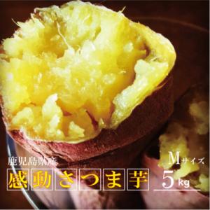 ふるさと納税 南大隅町 【先行予約】熟成紅はるか『感動さつまいも』Mサイズ5キロ　鹿児島県産
