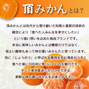 ふるさと納税 八幡浜市 三代目の頂みかんTHE...の詳細画像1