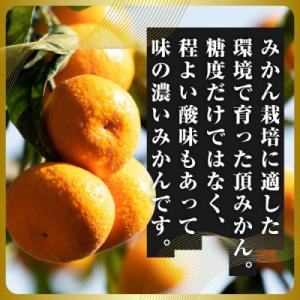 ふるさと納税 八幡浜市 三代目の頂みかんTHE...の詳細画像2