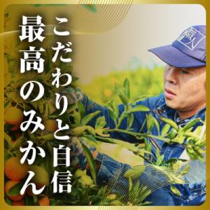 ふるさと納税 八幡浜市 三代目の頂みかんTHE...の詳細画像3