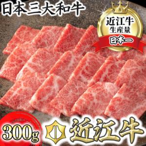 ふるさと納税 近江八幡市 【認定近江牛雌牛限定】カネ吉山本の近江牛特上焼肉　バラ・モモ300g