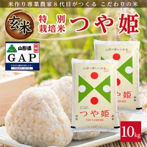 ふるさと納税 酒田市 【令和8年産 新米予約】[玄米]特別栽培米つや姫　10kg(5kg×2袋)「農家直送」 KA