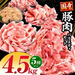 ふるさと納税 宮崎市 国産豚肉バラエティセット5種4.5kg(宮崎市)