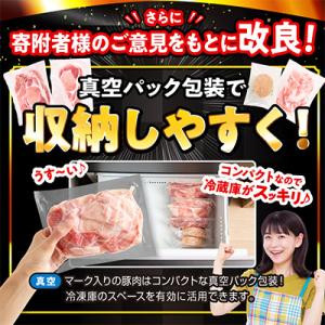ふるさと納税 宮崎市 国産豚肉バラエティセット...の詳細画像1
