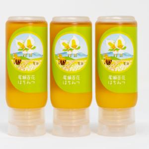 ふるさと納税 沼田市 尾瀬のはちみつ(百花)3本セット