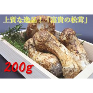 ふるさと納税 高野町 松茸　200g　【和歌山県産】香り高く希少な国産!
