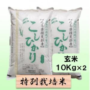 ふるさと納税 池田町 【令和8年産】特別栽培米 20kg【玄米】(コシヒカリ)