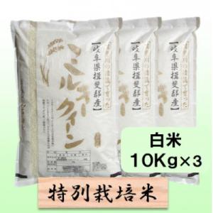 ふるさと納税 池田町 【令和7年産】特別栽培米 30kg【白米】(ミルキークイーン)