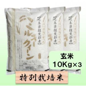 ふるさと納税 池田町 【令和7年産】特別栽培米 30kg【玄米】(ミルキークイーン)