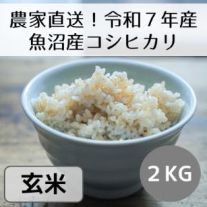 ふるさと納税 十日町市 【令和7年産】新潟県魚沼産コシヒカリ「山清水米」玄米2kg