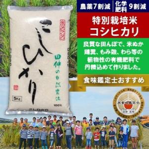 ふるさと納税 稲敷市 【令和6年産】特別栽培米 田仲のこしひかり10kg(5kg×2袋)
