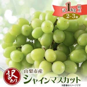 山梨県産ぶどう　シャインマスカット　10房入り　箱込み約5.6kg 総合1位獲得!!】〈2026年度配送分〉山梨県産 シャインマスカット 2～3