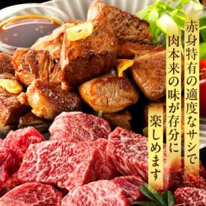 ふるさと納税 宮崎市 内閣総理大臣賞4連覇 宮...の詳細画像2