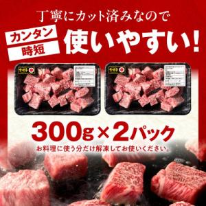 ふるさと納税 宮崎市 内閣総理大臣賞4連覇 宮...の詳細画像3